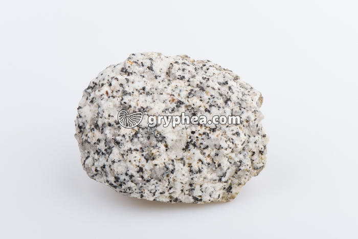 Granite (début d'altération) - gryphea.com